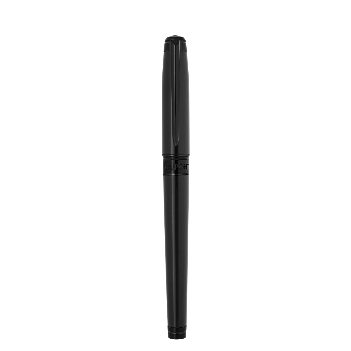Fountain pen large