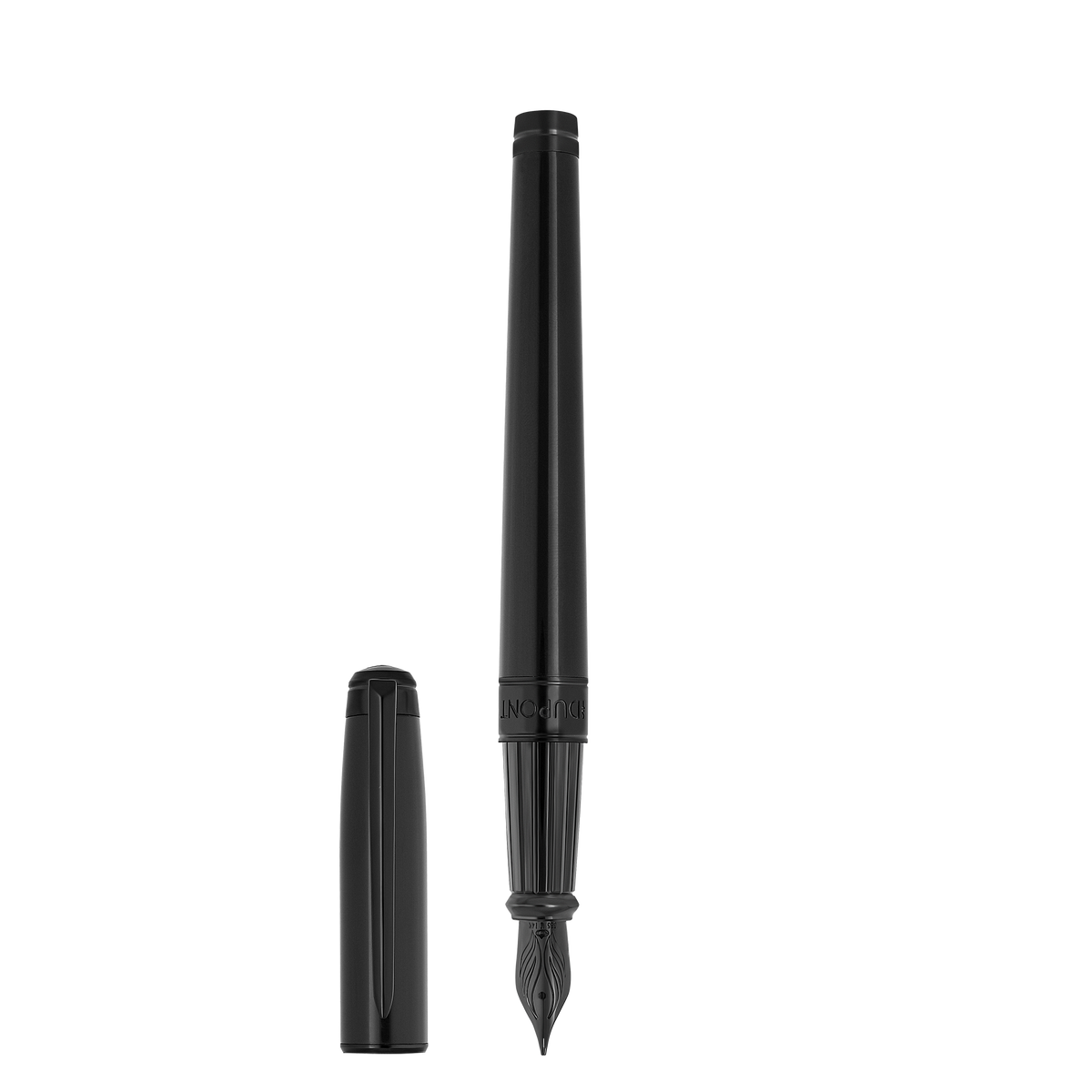 Fountain pen large