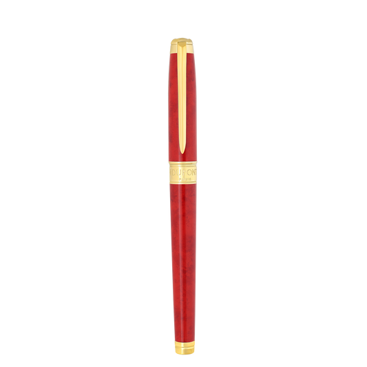 Fountain pen large