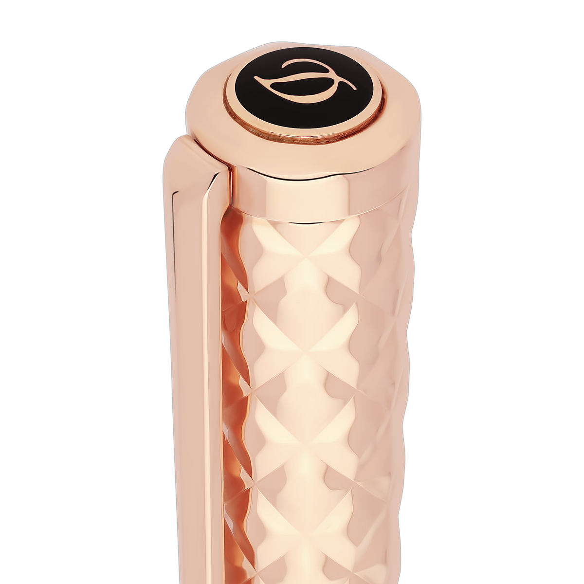 Fountain pen